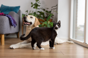 Veterinary HPM Chien Adult Neutered S&toy — 400 g